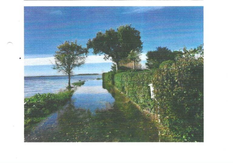 Mehr über den Artikel erfahren Petition zum Hochwasserschutz in Michaelsdorf-Teil 1