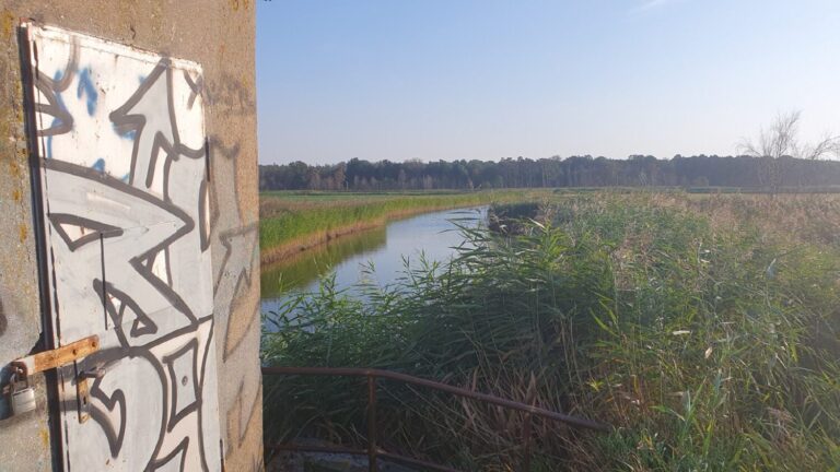 Mehr über den Artikel erfahren Bericht: Ostseestiftung informierte am 5.9.24 über das Projekt der Renaturierung des Polders Fuhlendorf
