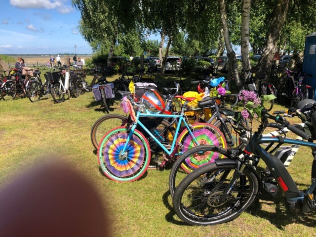fahrrad 1 1024x768