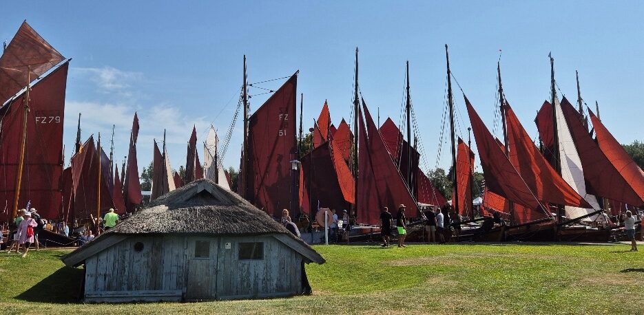 Bild1 e1762878466525