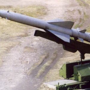 Geheimnisse im Wald | von Wilhelm Pieper