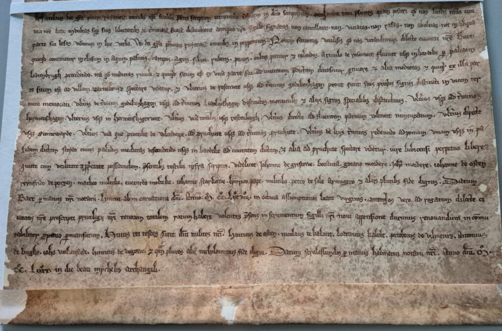 archiv2 e1767979496694