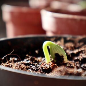 Zum neuen Jahr || von Renate Jürgens-Pieper & Iris Peinl