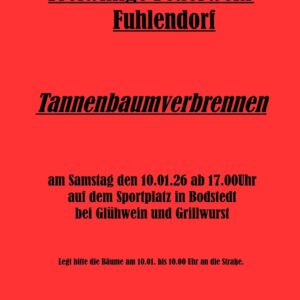 Kuschelig: Tannenbaumverbrennen bei Glühwein und Bratwurst | von Maik Schlodinski