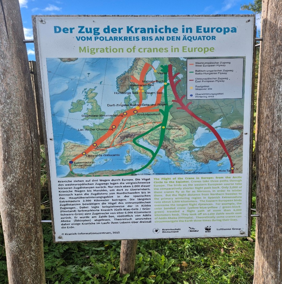 Route kranich